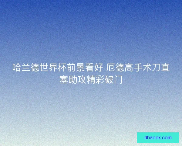 哈兰德世界杯前景看好 厄德高手术刀直塞助攻精彩破门
