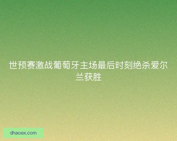 世预赛激战葡萄牙主场最后时刻绝杀爱尔兰获胜 世预赛激战葡萄牙主场最后时刻绝杀爱尔兰获胜